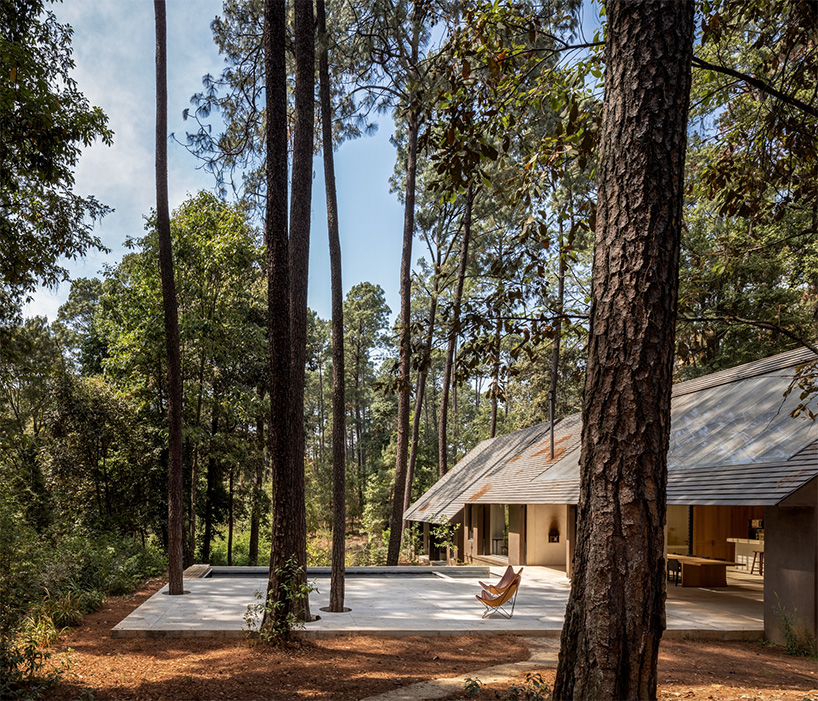 PPAA nestles idyllic retreat into pine tree woodlands of valle de bravo, mexico