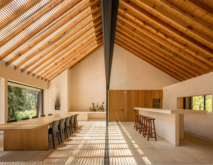 PPAA nestles idyllic retreat into pine tree woodlands of valle de bravo, mexico