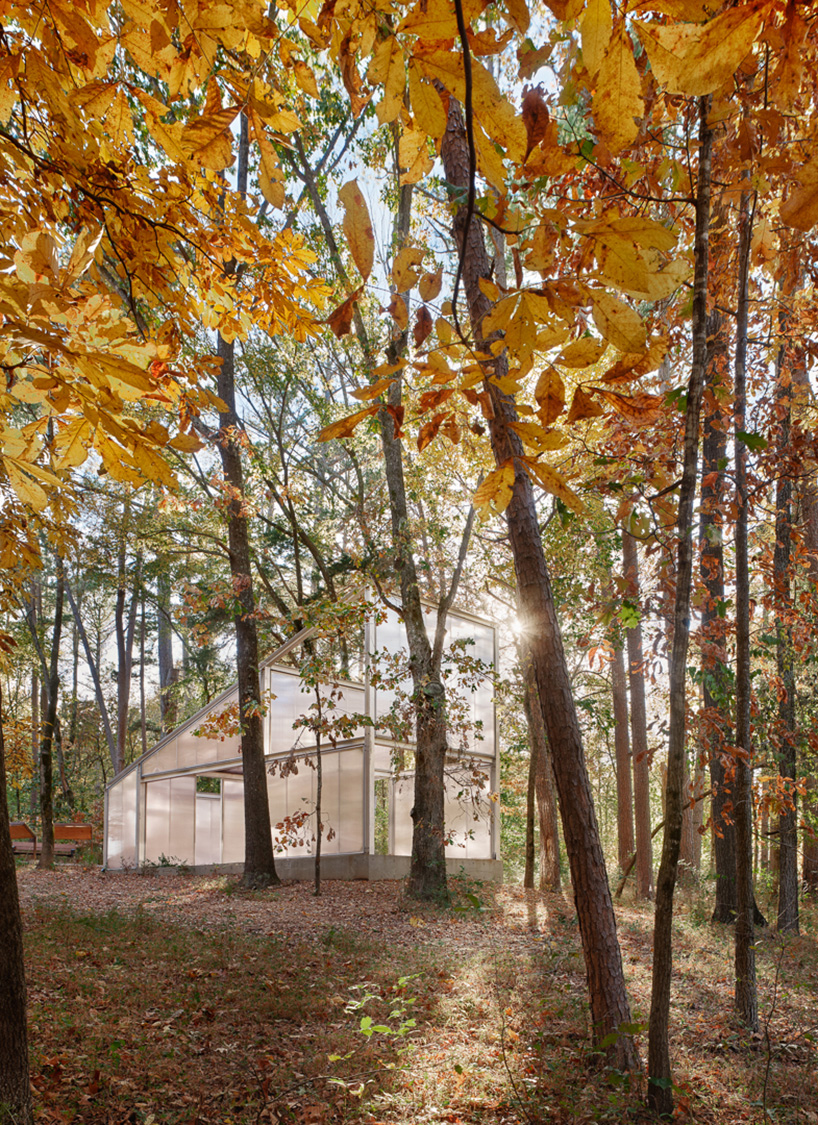 PPAA envisions breathable homes of the future infused with nature's presence