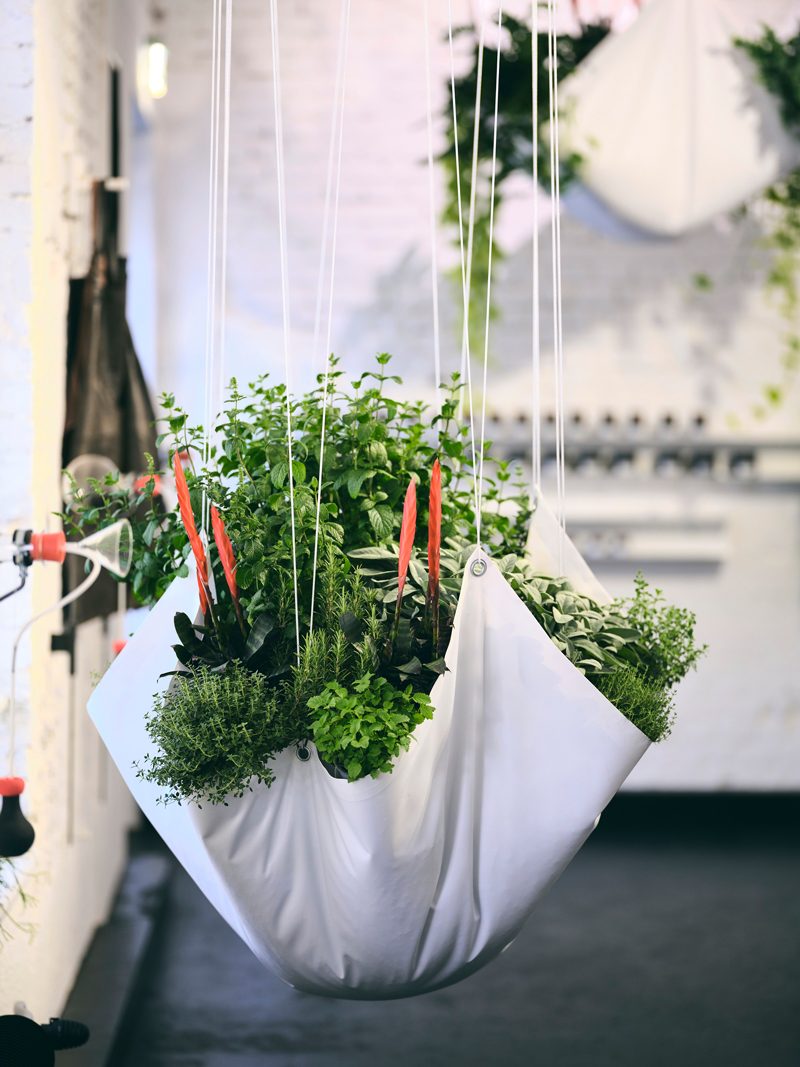 loft-like van den berg spice house in austria is infused with exotic plants and rich aromas