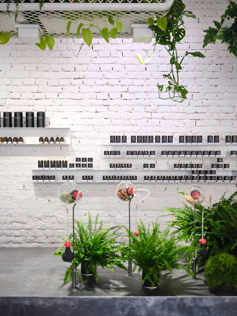 loft-like van den berg spice house in austria is infused with exotic plants and rich aromas