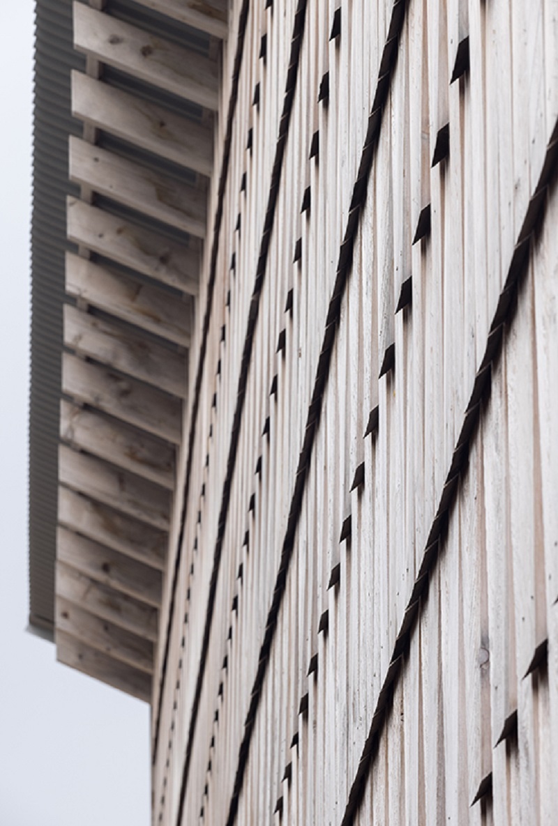 wuduhus mole architects