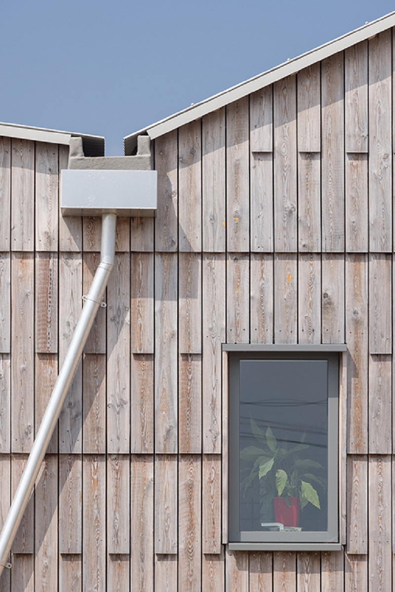 wuduhus mole architects