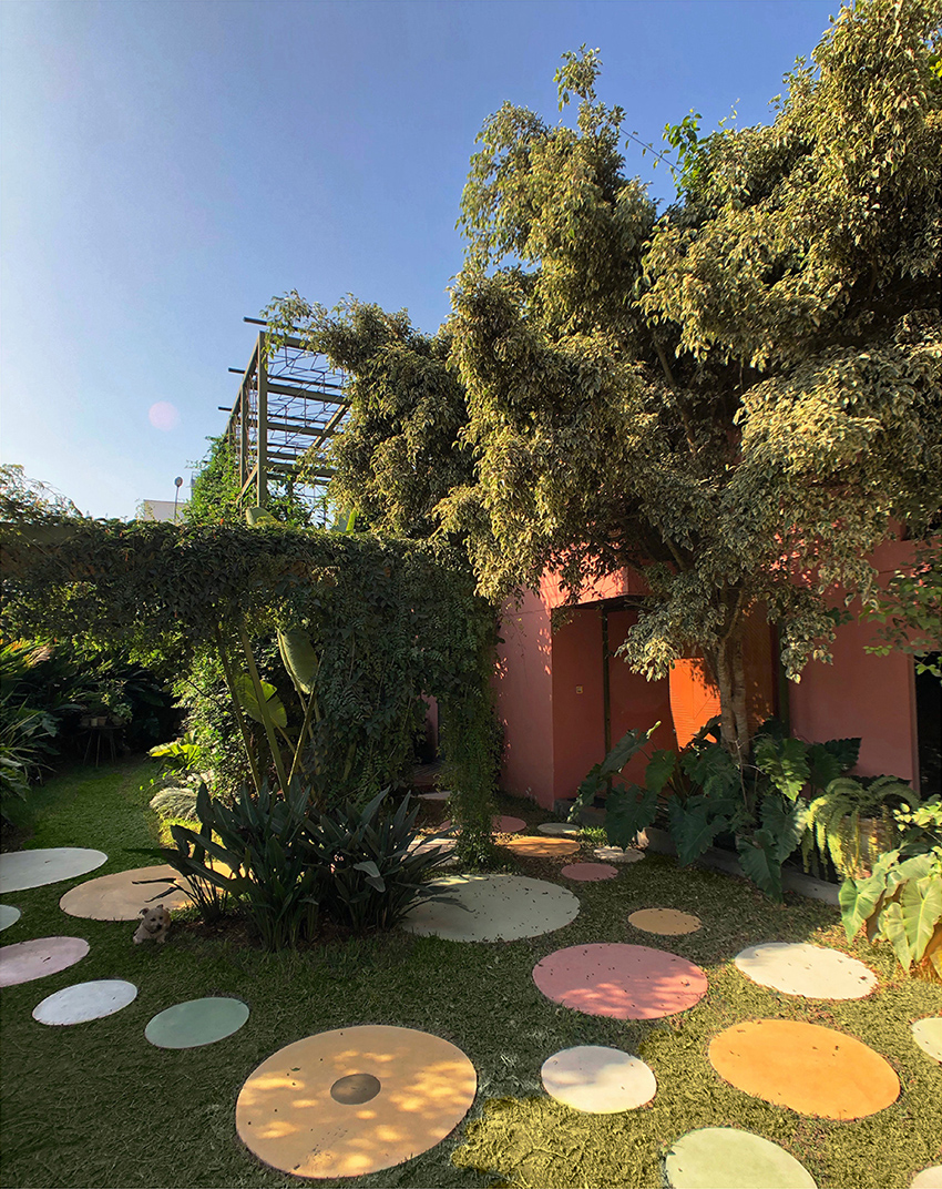 oasis holistico 2