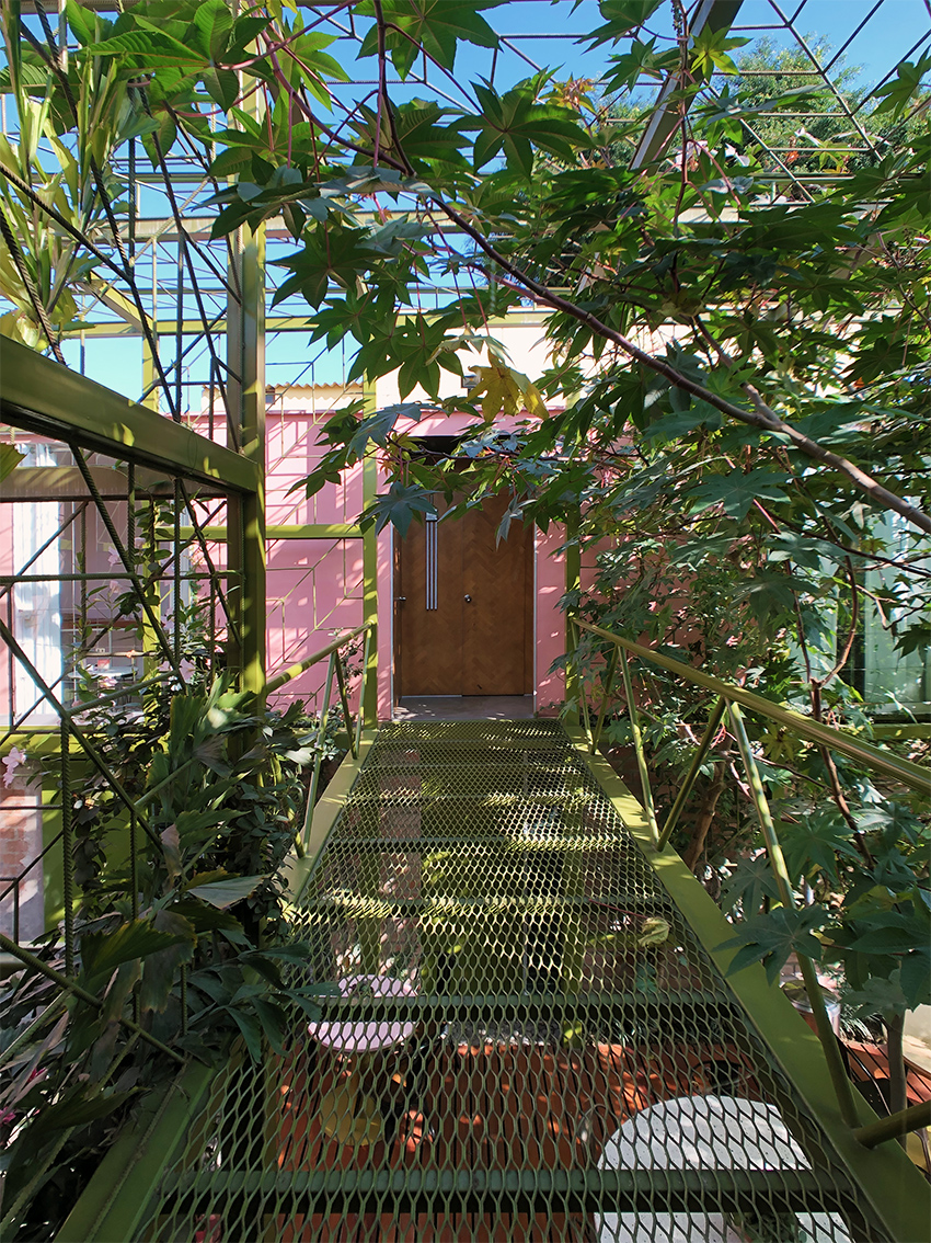 oasis holistico 4