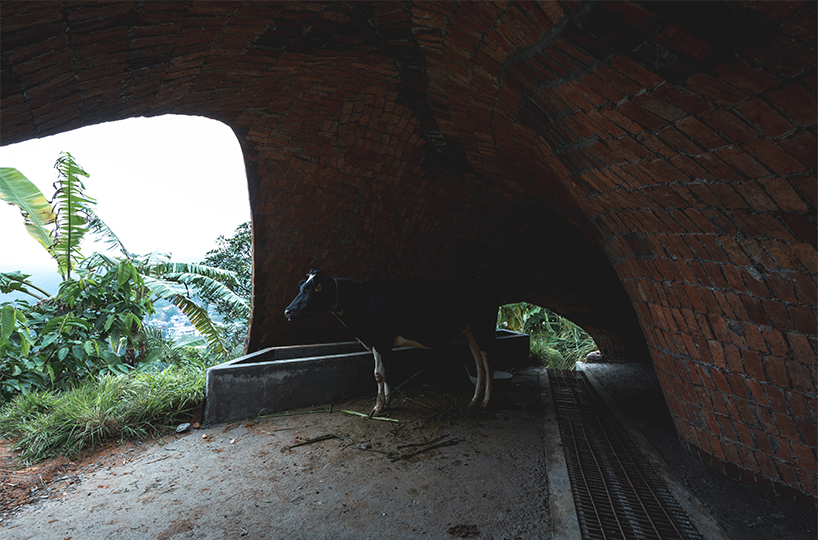 earthscape studio's vaulted cowshed nestles into kerala's hillside