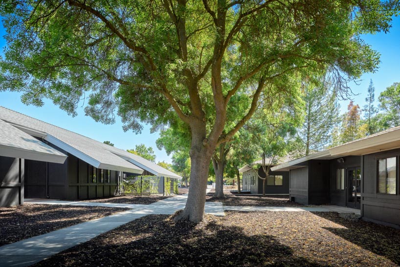university research facility expands under floating asymmetrical pitched roof in california