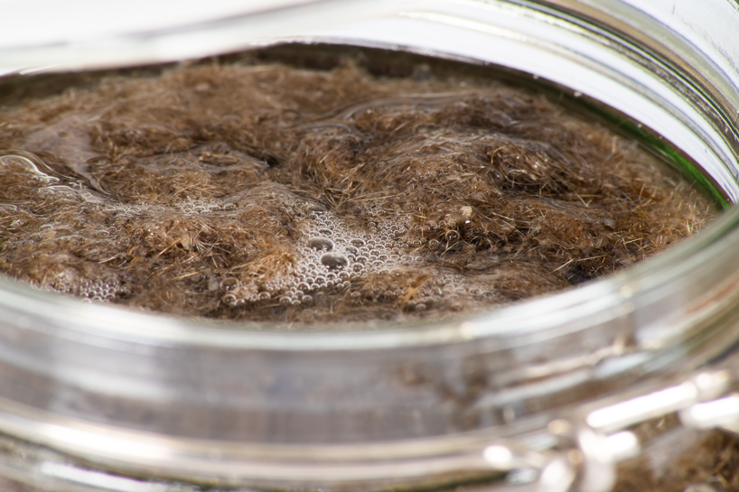 mussel beard byssus acoustic products 1