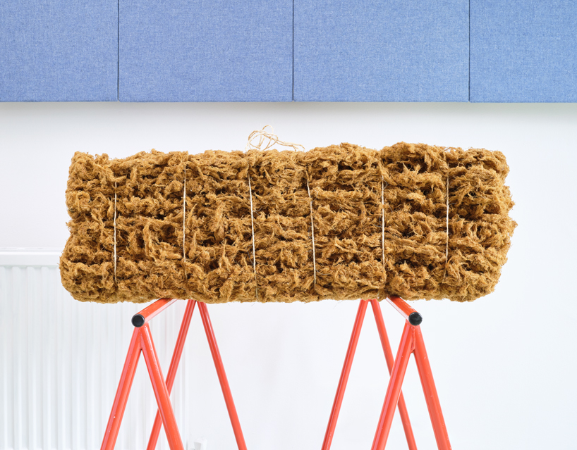 mussel beard byssus acoustic products 10