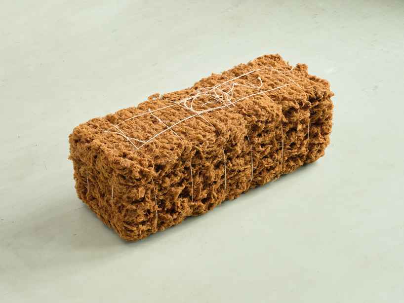 mussel beard byssus acoustic products 12