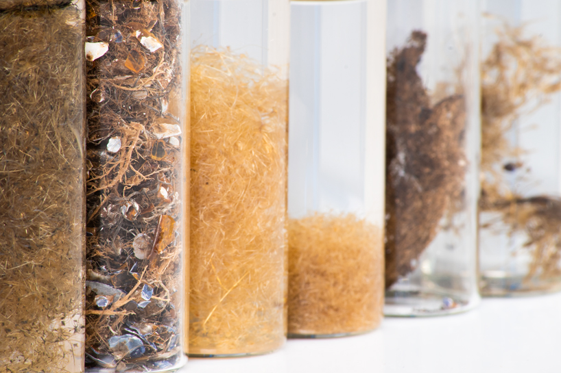 mussel beard byssus acoustic products 2