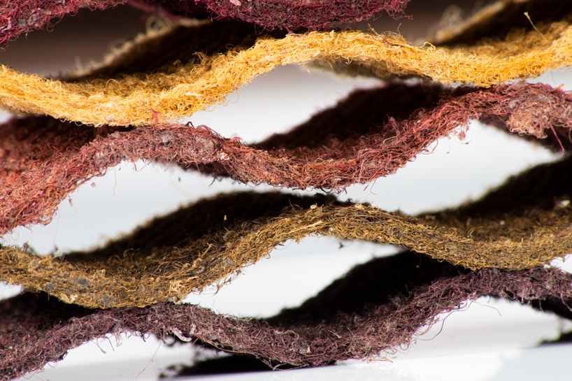 mussel beard byssus acoustic products 4