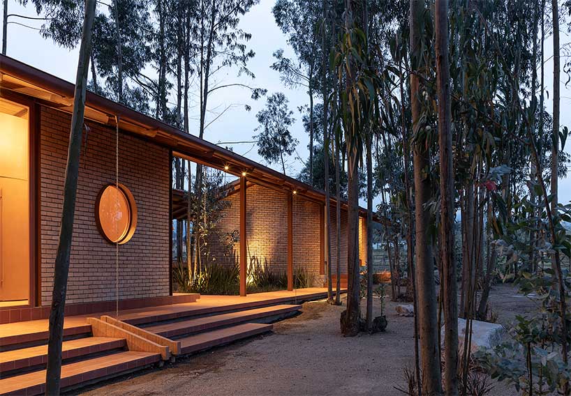 gabriel rivera arquitectos tucks home & stables amid expanse of eucalyptus trees in ecuador