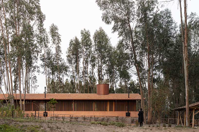 gabriel rivera arquitectos tucks home & stables amid expanse of eucalyptus trees in ecuador