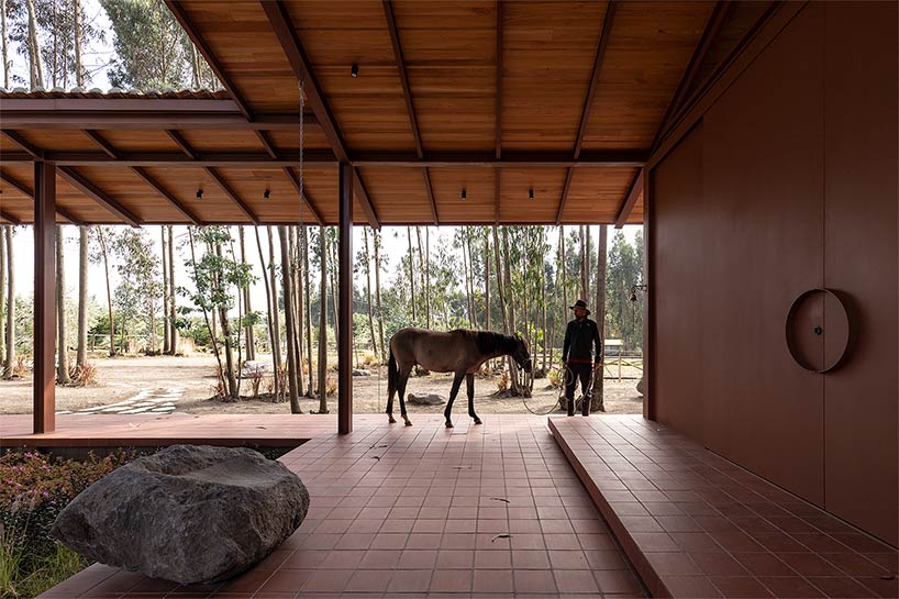 gabriel rivera arquitectos tucks home & stables amid expanse of eucalyptus trees in ecuador