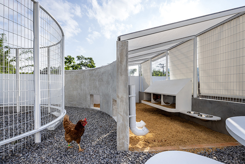 curved white fence by studio whispace + architects encloses chicken coop and herb zone in school in taiwan 