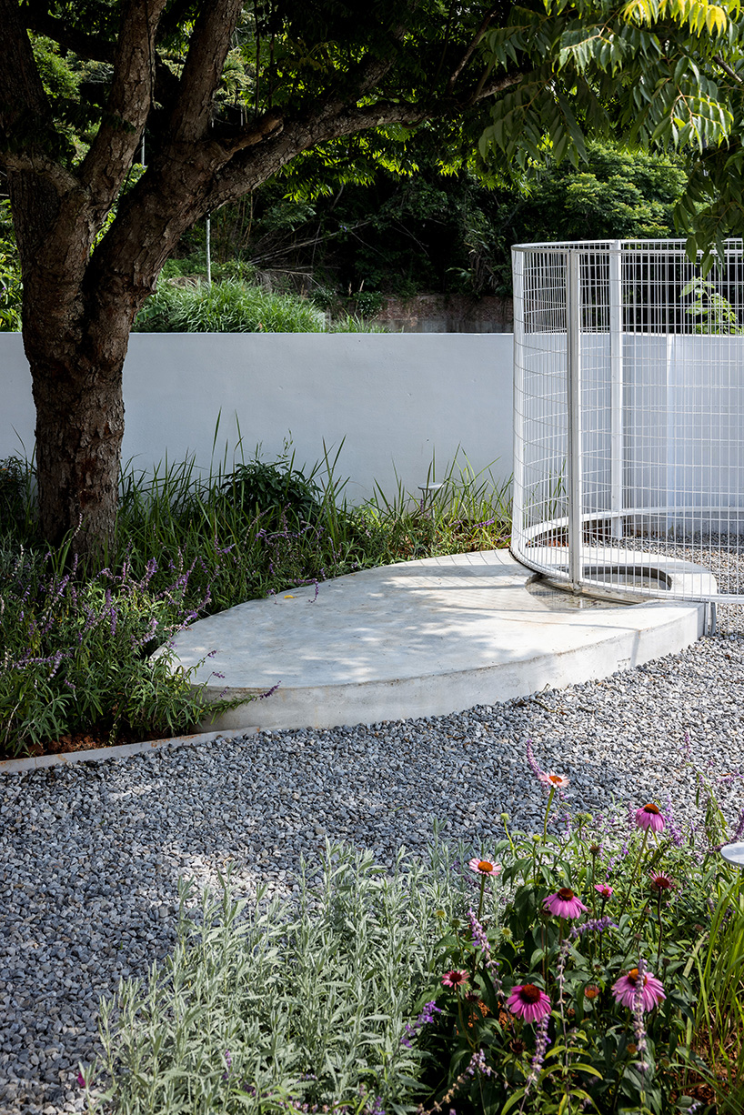 curved white fence by studio whispace + architects encloses chicken coop and herb zone in school in taiwan 