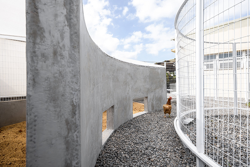 curved white fence by studio whispace + architects encloses chicken coop and herb zone in school in taiwan 