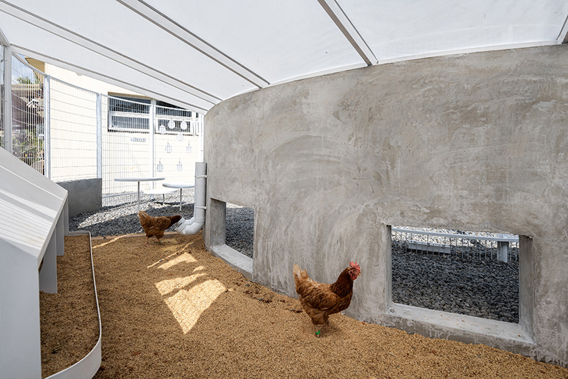 curved white fence by studio whispace + architects encloses chicken coop and herb zone in school in taiwan 