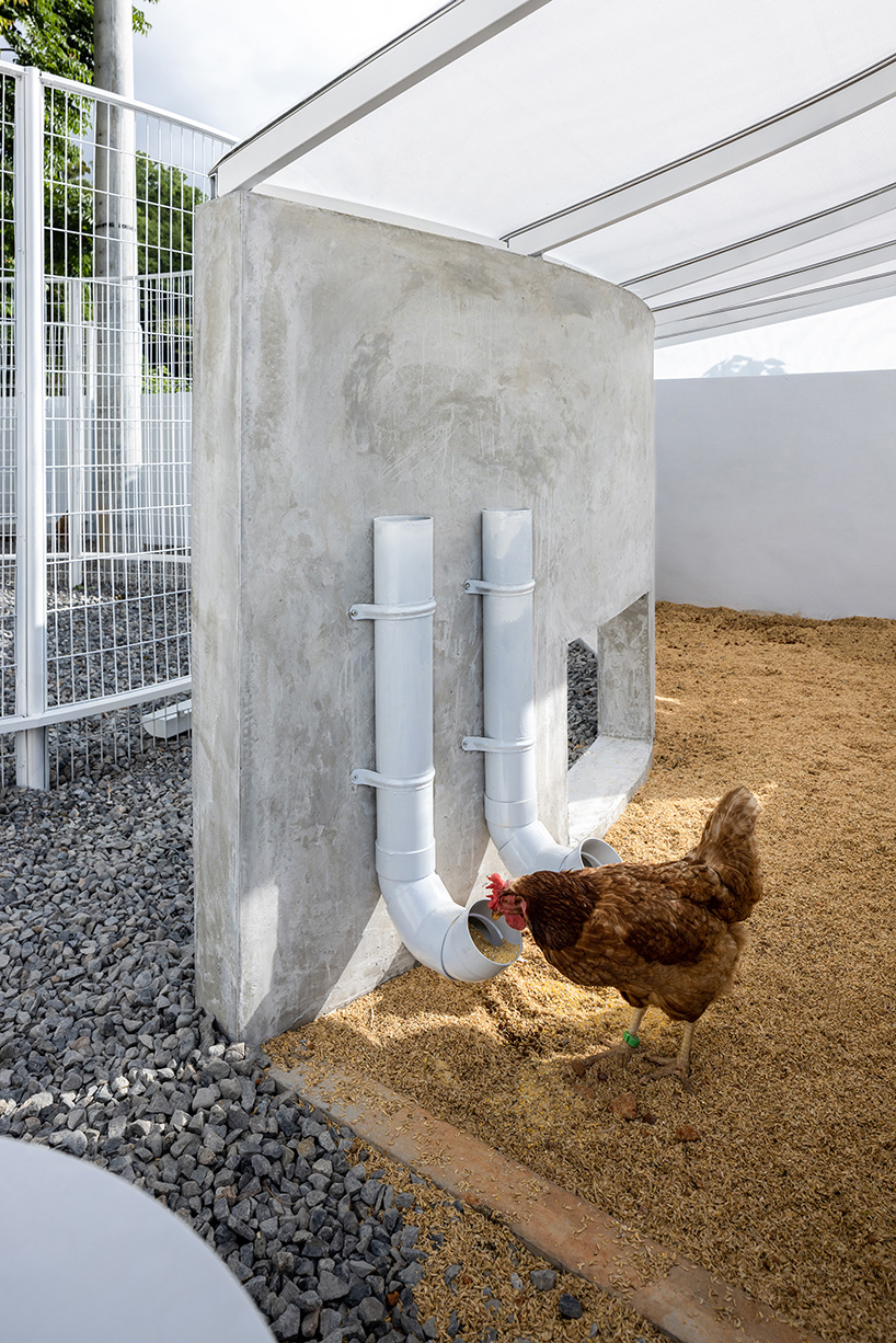 curved white fence by studio whispace + architects encloses chicken coop and herb zone in school in taiwan 