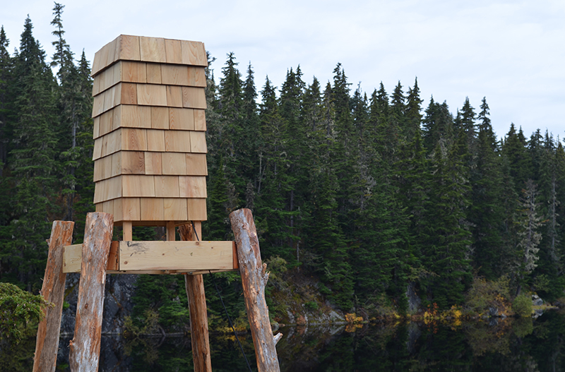 crafted from reclaimed cedar & pine, deadwood bear cache gathers campers in canada forest
