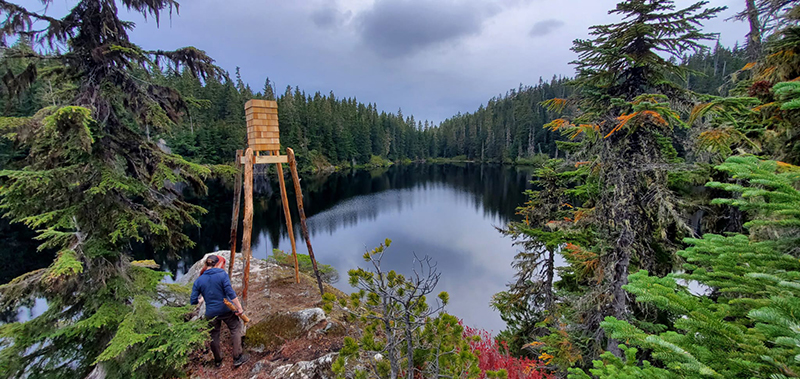 crafted from reclaimed cedar & pine, deadwood bear cache gathers campers in canada forest