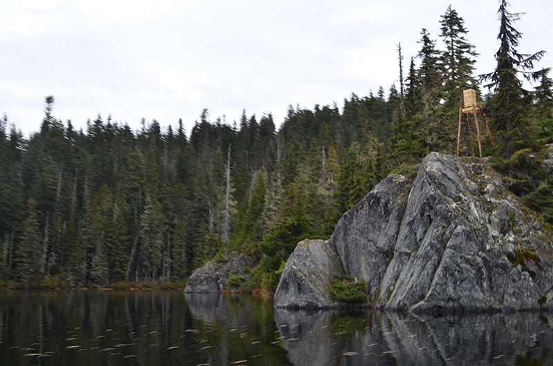 crafted from reclaimed cedar & pine, deadwood bear cache gathers campers in canada forest