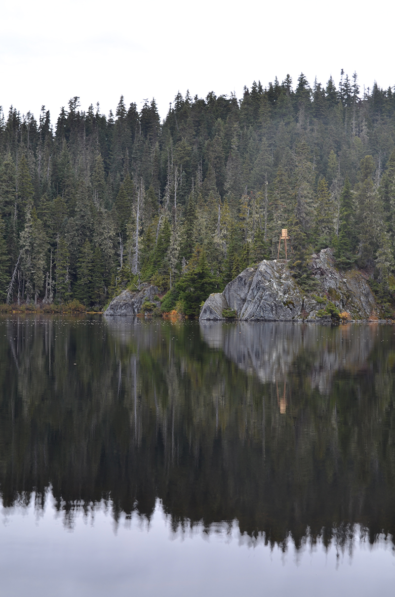 crafted from reclaimed cedar & pine, deadwood bear cache gathers campers in canada forest