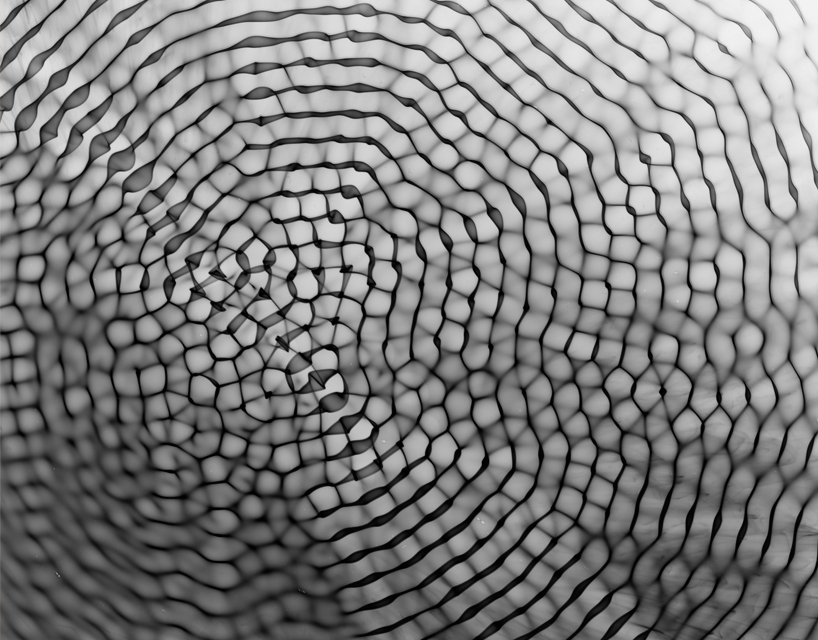 lachlan turczan transforms water patterns into liquid sculptures with cymatic watergrams