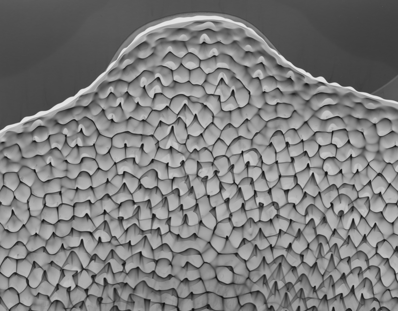 lachlan turczan transforms water patterns into liquid sculptures with cymatic watergrams