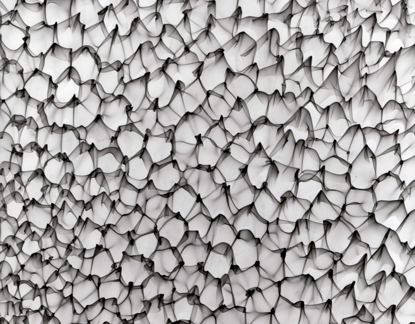 cymatic watergrams 4