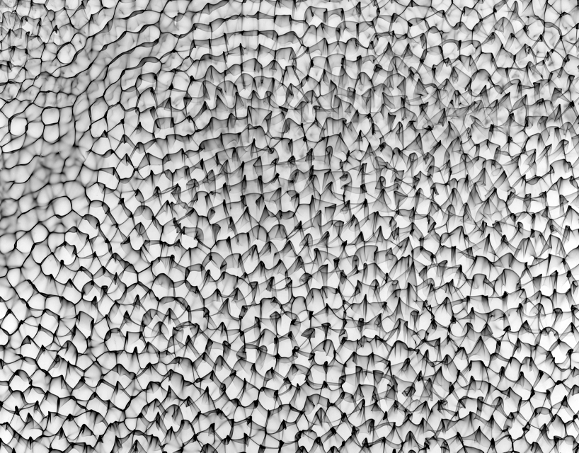 cymatic watergrams 5