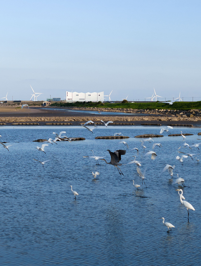 a conceptual experiment on mountains and seas 4