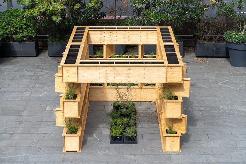 infra-architecture lab's shelter for plants and bees enhances urban pollination network