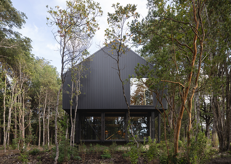 transparent below and sheltered on top, Eugenio Simonetti's KW house sits amid forest in chile