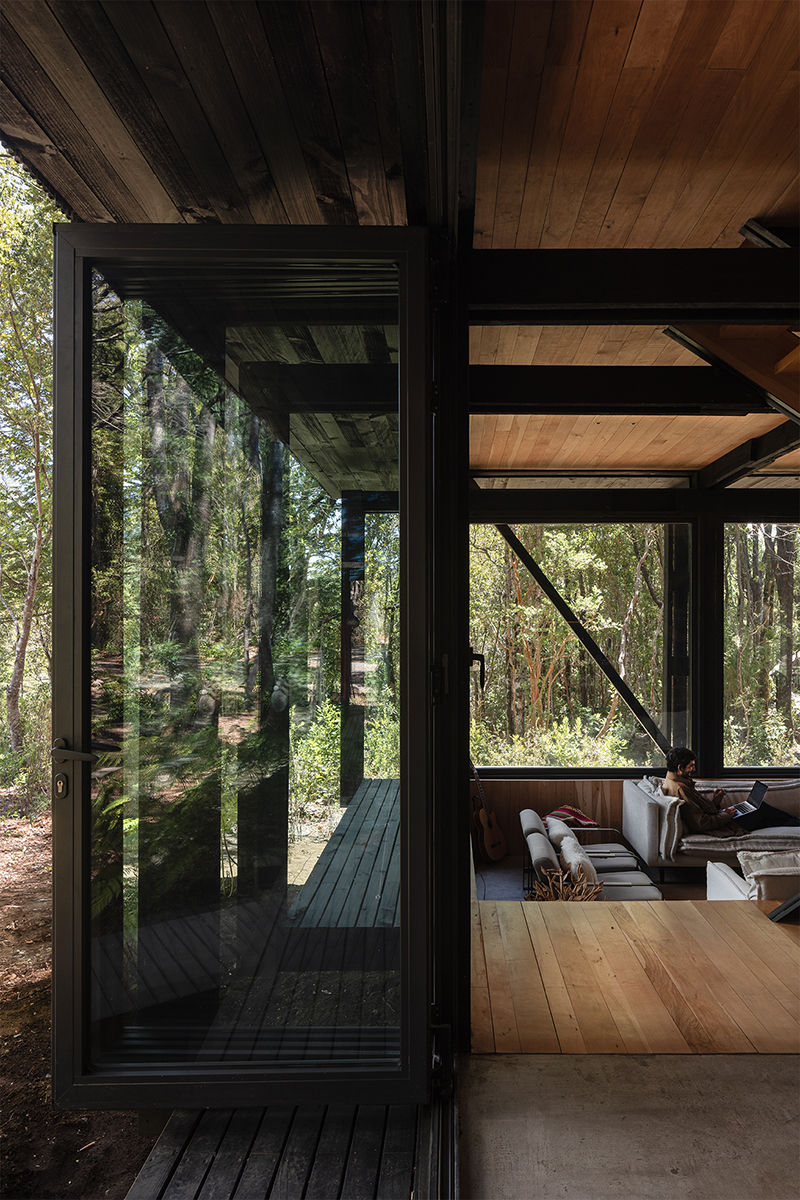 transparent below and sheltered on top, Eugenio Simonetti's KW house sits amid forest in chile