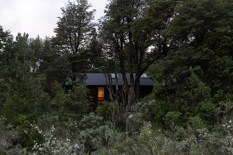 transparent below and sheltered on top, Eugenio Simonetti's KW house sits amid forest in chile