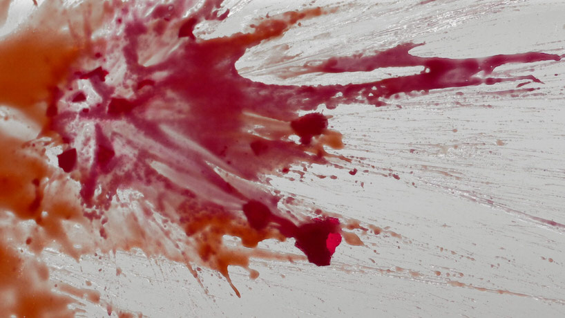 bear meets eagle on fire and glue society embrace chaos with explosive experiments for 61 11