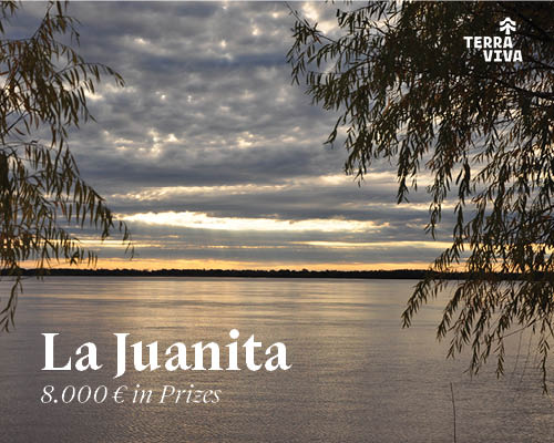 La Juanita Architecture Competition