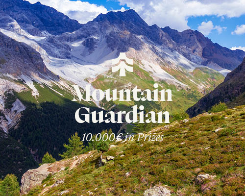 MOUNTAIN GUARDIAN Architecture Competition