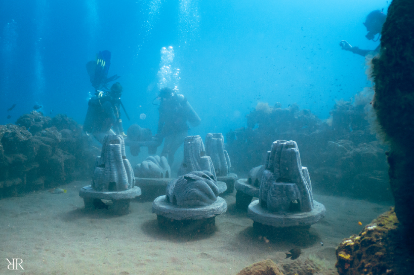 death care startup resting reef memorialises pet ashes into living reefs creating an afterlife by regenerating new marine life 3
