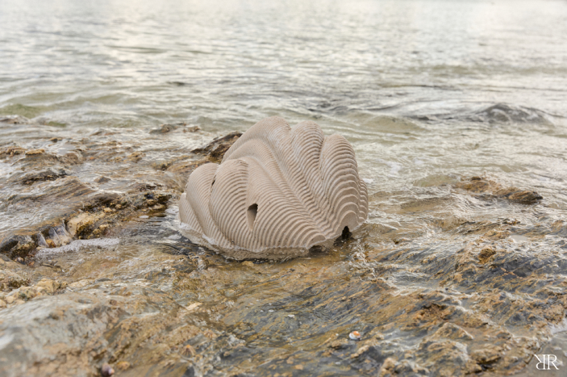 death care startup resting reef memorialises pet ashes into living reefs creating an afterlife by regenerating new marine life 6