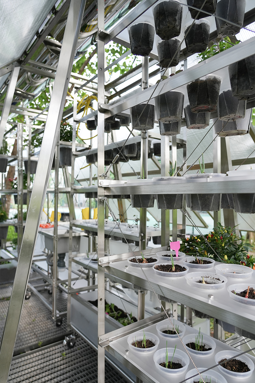 your greenhouse is your kitchen 6