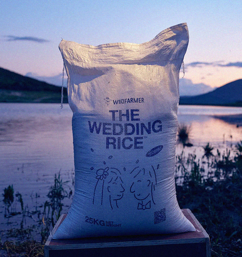 wedding rice repurposes non-edible grains for ceremonial use against food waste - 2