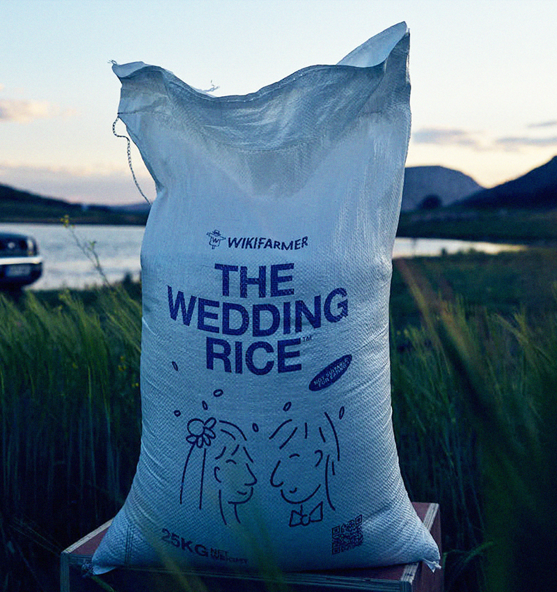 wedding rice repurposes non-edible grains for ceremonial use against food waste - 1