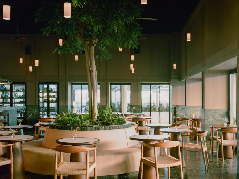 neiheiser argyros and ese studio complete new aigli restaurants in the heart of the national gardens in athens 4