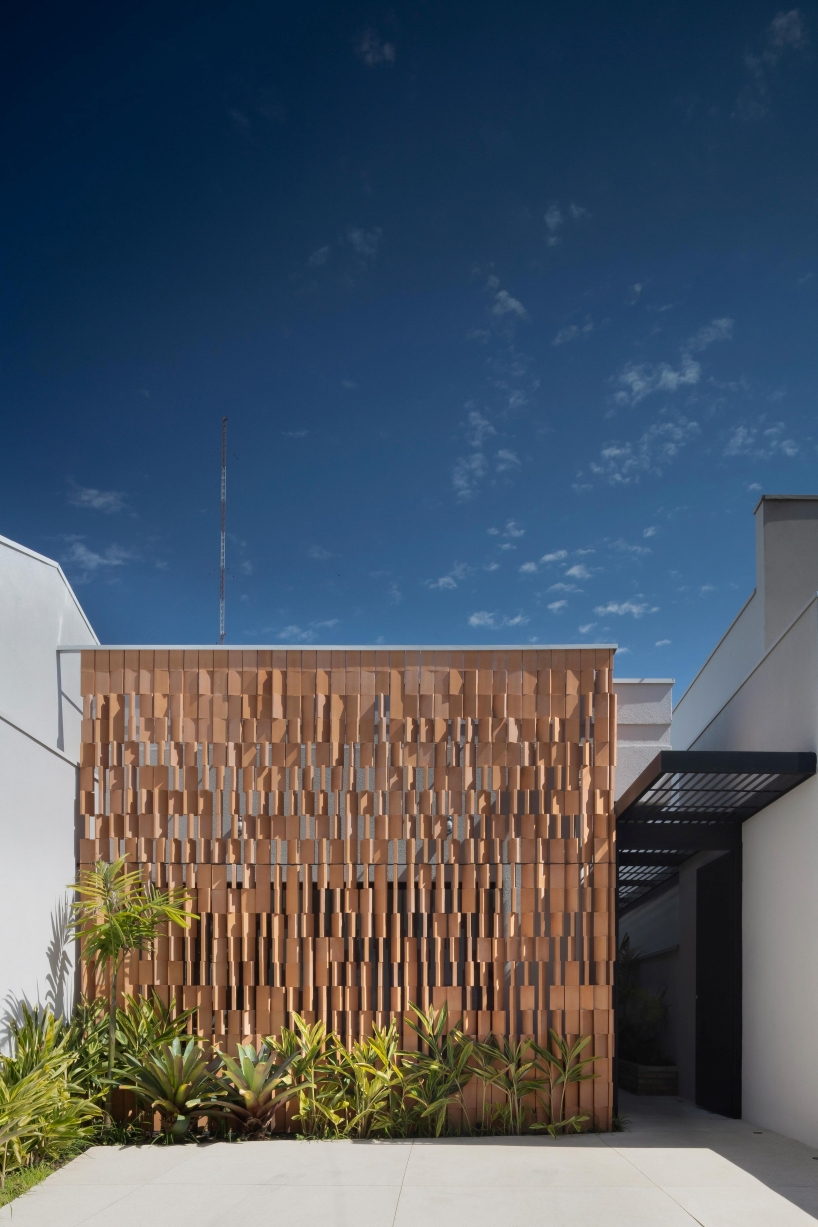 otus clinic turns a modest renovation into a powerful architectural gesture 1