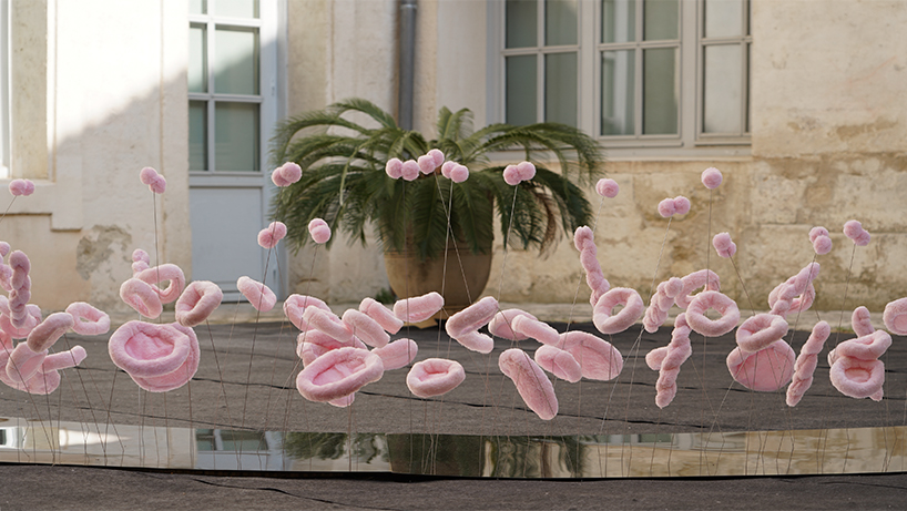 the tasting tongue a living archive of flavor memories by studio deng 2