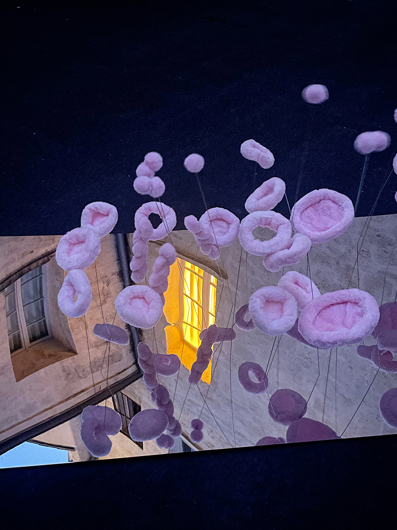 the tasting tongue a living archive of flavor memories by studio deng 5