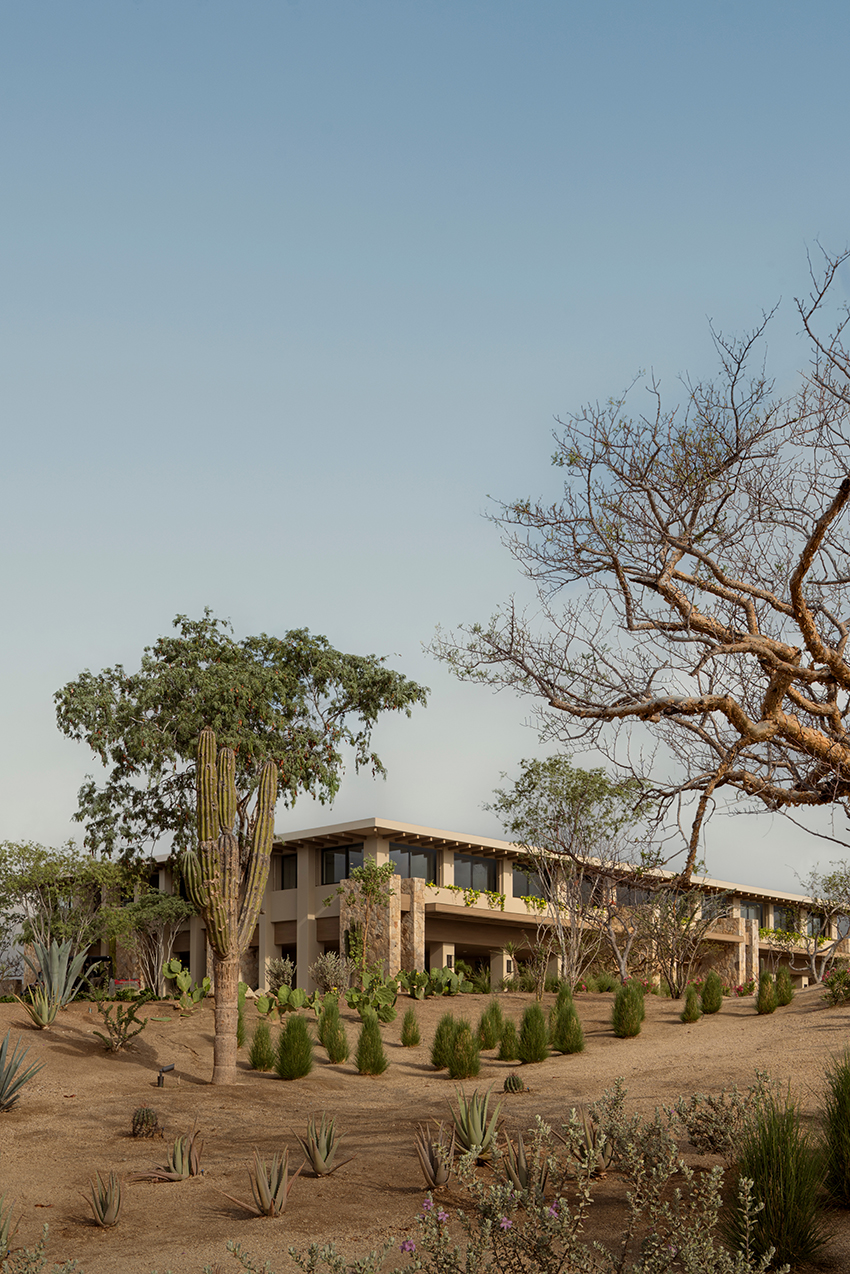 canyon market offices 10